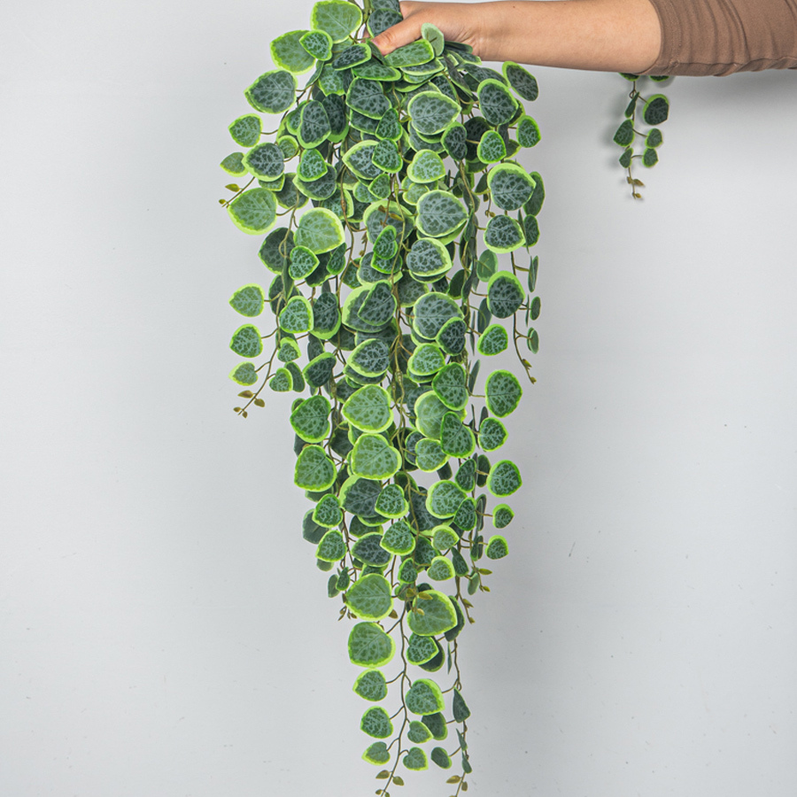 String Of Pearls Plant - 60-80 センチメートル人工つる熱帯ユーカリ植物プラスチックマネーリーフ壁掛け籐結婚式家の庭の装飾
