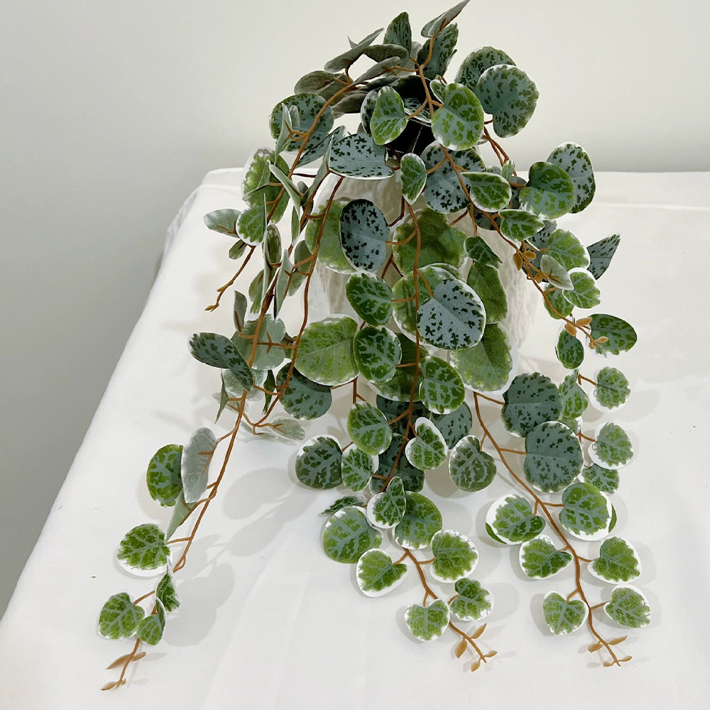 人工ユーカリの葉,偽のつる植物,壁の植物,結婚式のための籐, - String Of Pearls Plant のレビューと価格