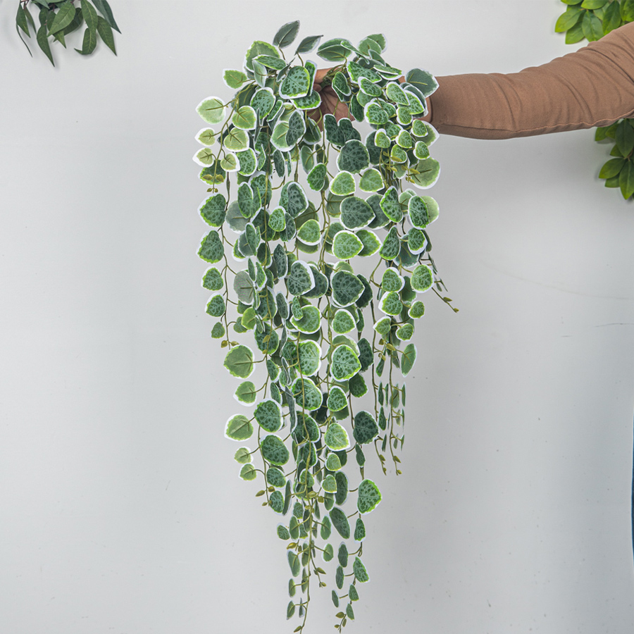 60-80 センチメートル人工つる熱帯ユーカリ植物プラスチッ - String Of Pearls Plant のレビューと価格