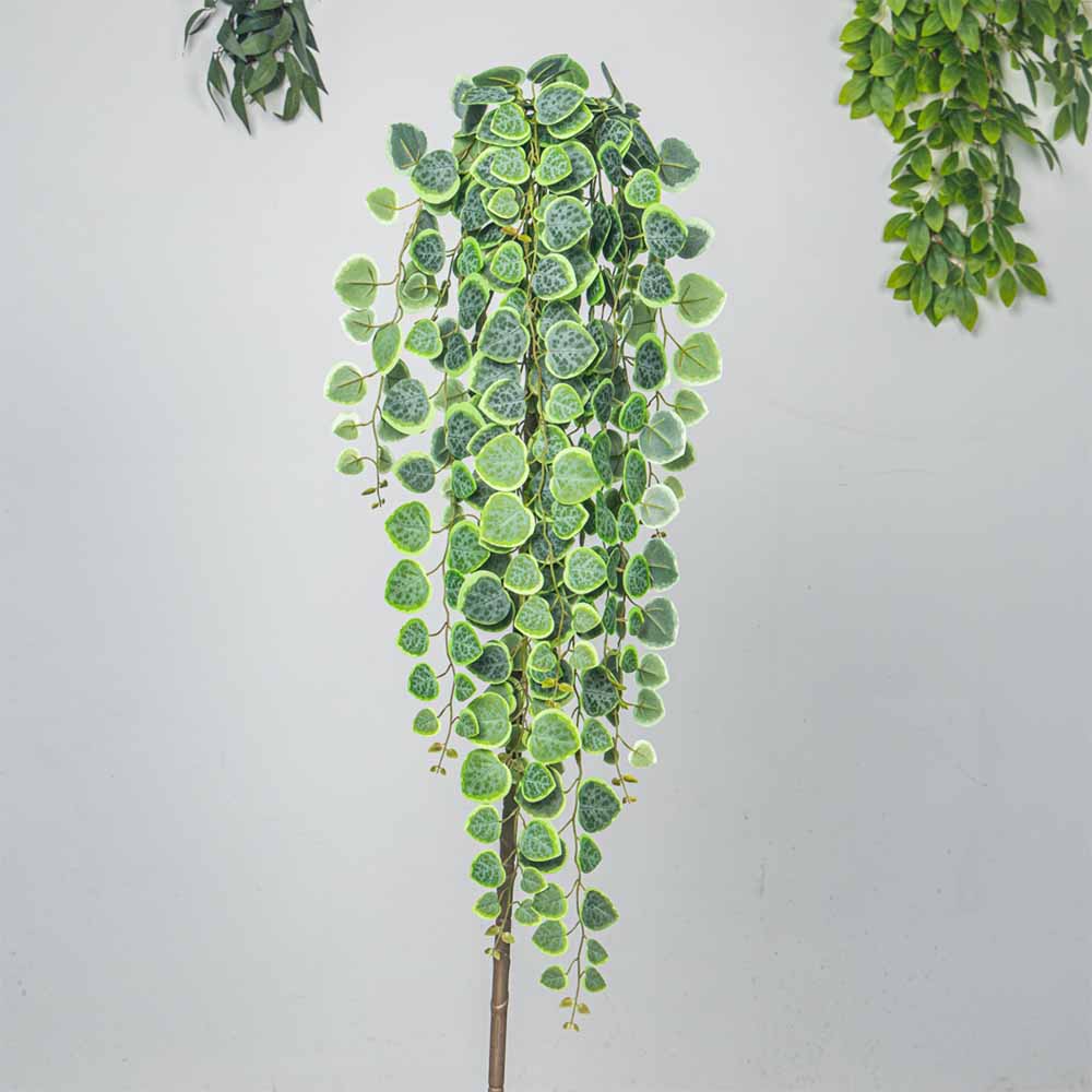 60-80 センチメートル人工つる熱帯ユーカリ植物プラスチッ - String Of Pearls Plant のレビューと価格