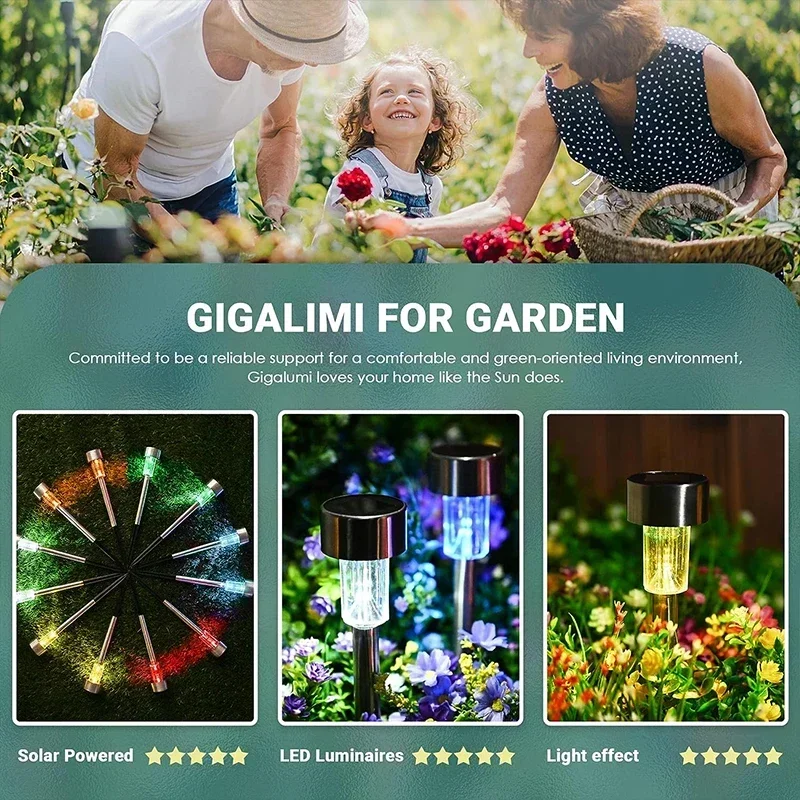 ソーラー屋外ライトガーデンランプ太陽光発電防水風景パス屋外庭 - Plant Parenting のレビューと価格