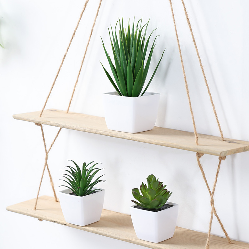 (3 個セット) 家、レストラン、テーブルトップ、窓辺、本棚 - String Of Pearls Plant のレビューと価格