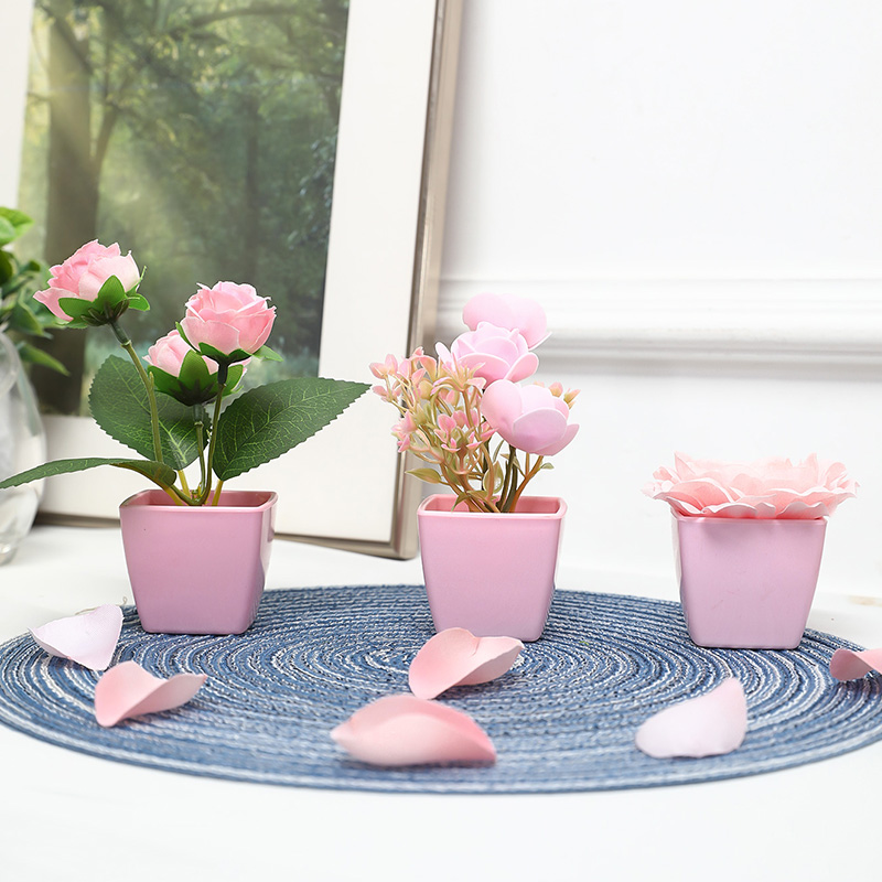 (3 個セット) 家、レストラン、テーブルトップ、窓辺、本棚 - String Of Pearls Plant のレビューと価格