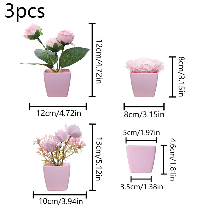 (3 個セット) 家、レストラン、テーブルトップ、窓辺、本棚 - String Of Pearls Plant のレビューと価格