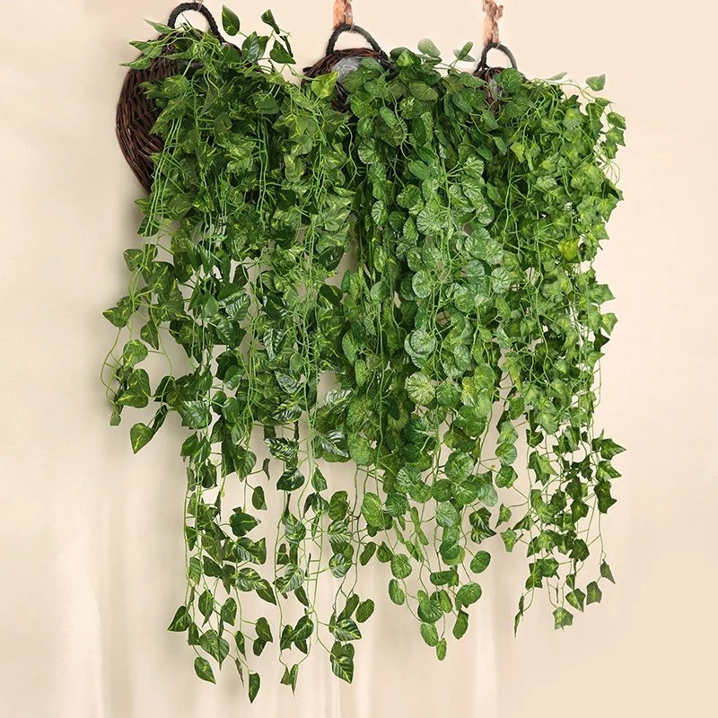 人工緑の壁の吊り下げ植物,家の装飾のための籐のつる植物,花の - String Of Pearls Plant のレビューと価格
