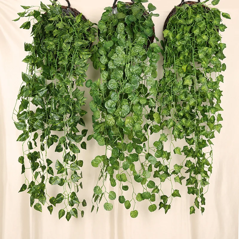 人工緑の壁の吊り下げ植物,家の装飾のための籐のつる植物,花の - String Of Pearls Plant のレビューと価格