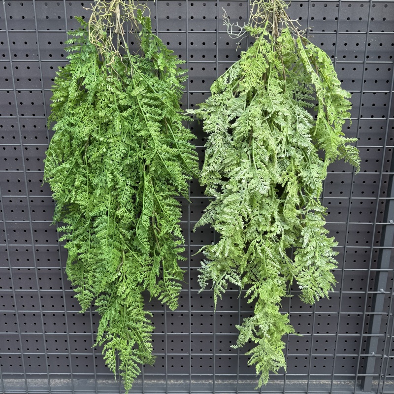 フェイクハーブ付きのリアルなプラスチック製の吊り下げ蔓 -  - String Of Pearls Plant のレビューと価格
